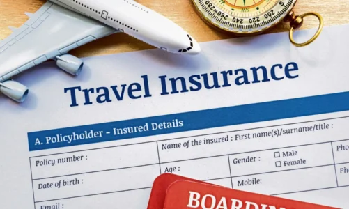 Domestic Travel Insurance: Reasons Why You Need Travel Insurance In India